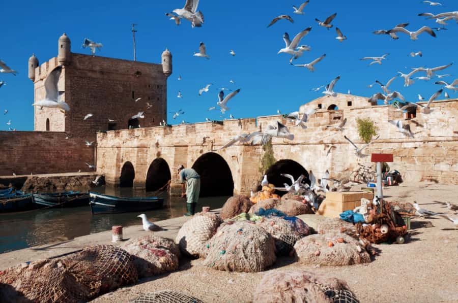 From Marrakech To Essaouira Mogador Full Day Trip Smallgroup - A little beach time on the Atlantic