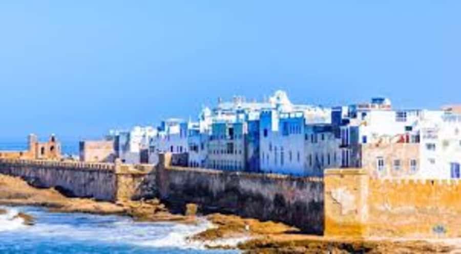 From Marrakech To Essaouira Mogador Full Day Trip Smallgroup - What the driver does, and what is not included