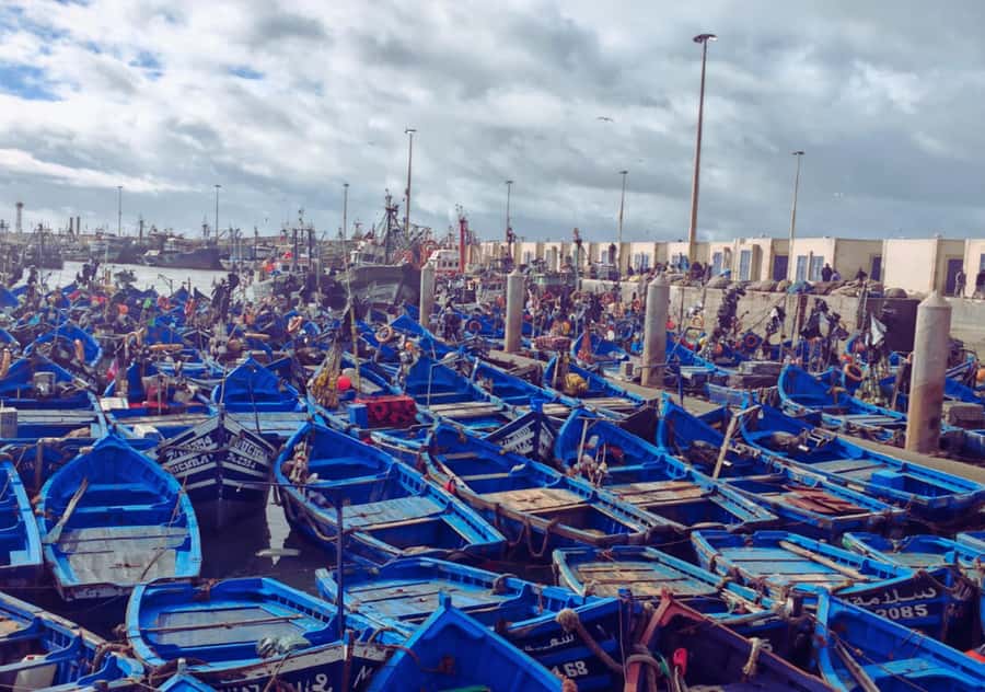 From Marrakesh: Essaouira Full-Day Trip - Why Essaouira makes a good escape from Marrakesh