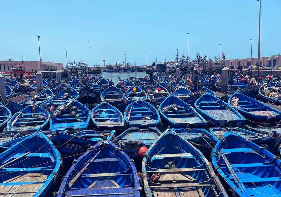 From Marrakesh: Essaouira Full-Day Trip - Who will enjoy this day trip most