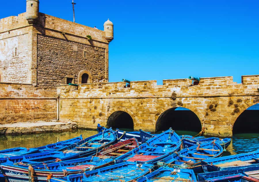 From Marrakesh: Essaouira Full-Day Trip - The road west in an air-conditioned minibus