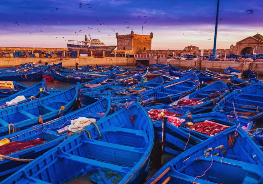 From Marrakesh: Essaouira Full-Day Trip - Entering Essaouira through the port