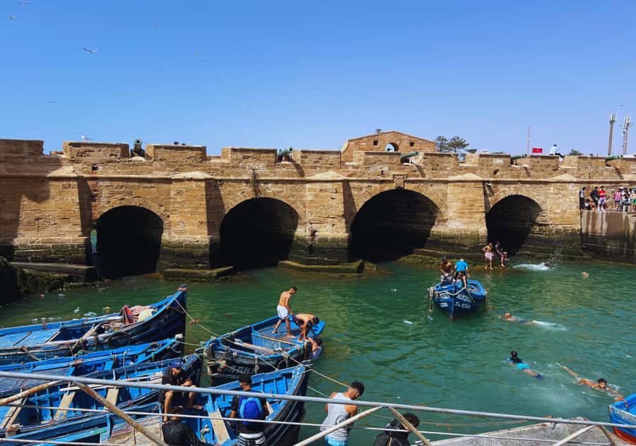 From Marrakesh: Essaouira Full-Day Trip - Beach time and a cooler afternoon