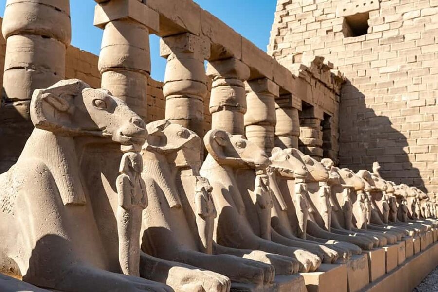 From Marsa Alam: Private Day Trip to Luxor by Car - Guides, drivers, and the private format
