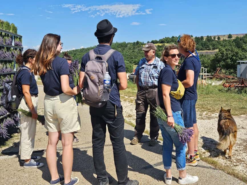 From Marseille: Lavender Full-Day Trip to Sault - Is $187 a fair price?