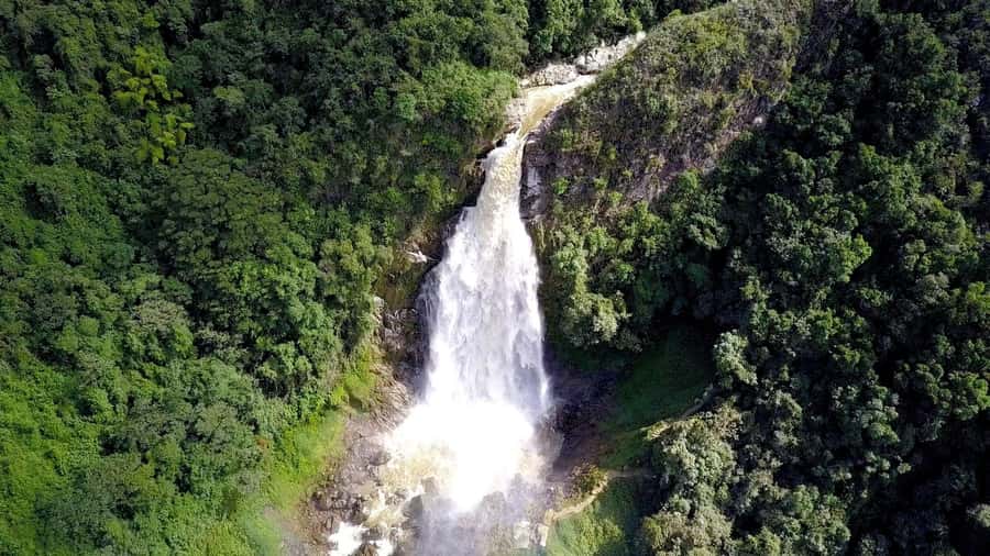 From Medellín: Dream Hammocks, Zipline, & Waterfall Day Trip - Who should book this day