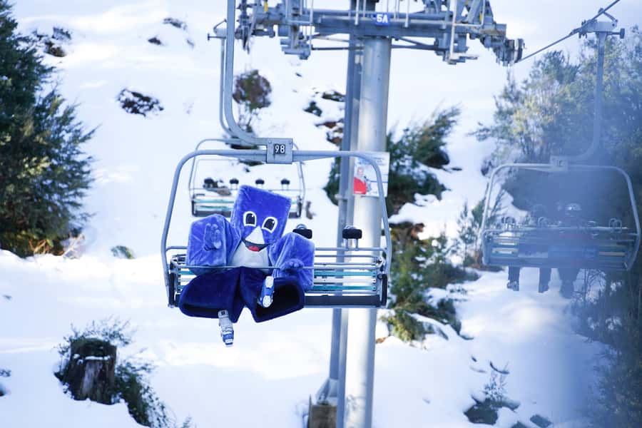 From Melbourne: Day Trip to Mt Buller by Premium Tour Coach - Key points to know before you book