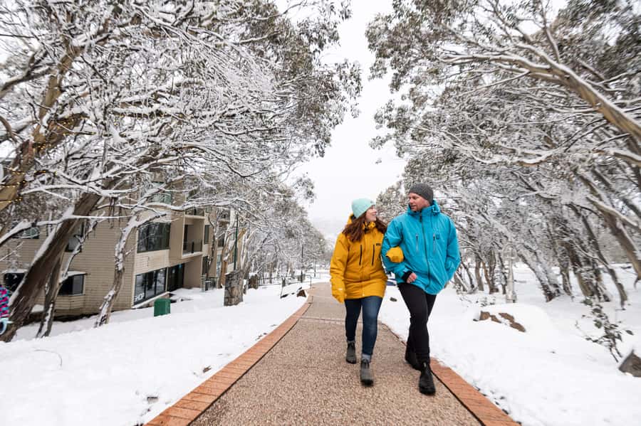 From Melbourne: Day Trip to Mt Buller by Premium Tour Coach - Who should book this Mt Buller day trip?
