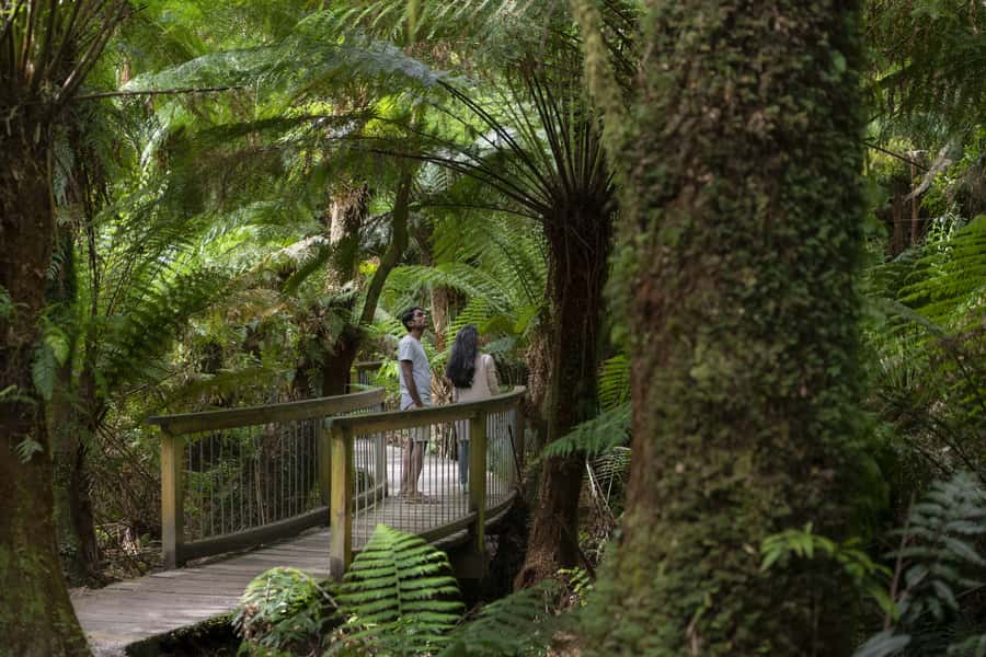 From Melbourne: Reverse Great Ocean Road Day Trip with Lunch - Why the reverse route makes sense