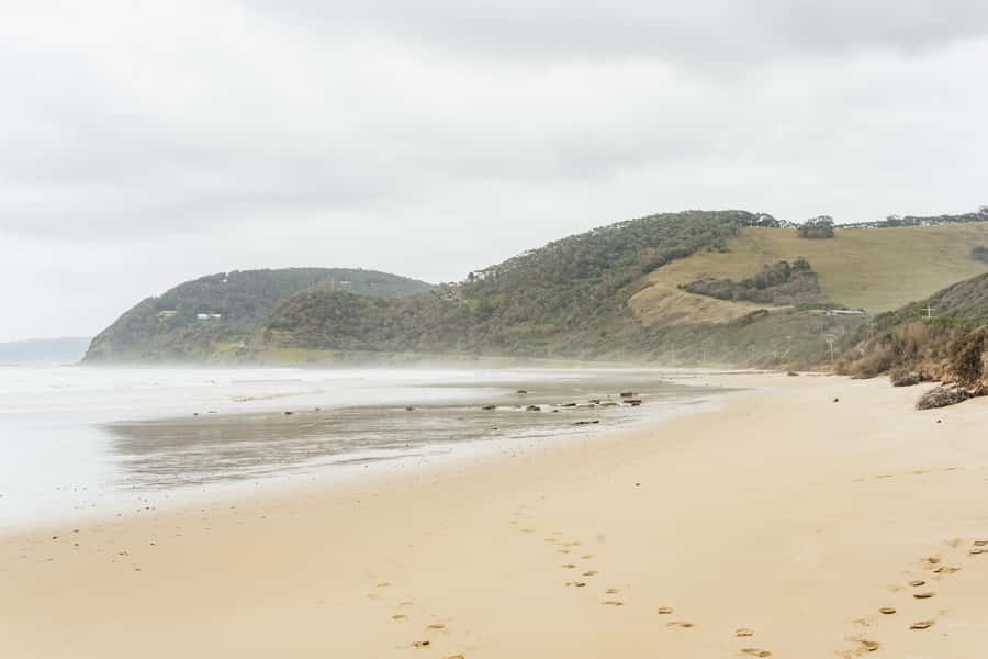 From Melbourne: Small-Group Great Ocean Road Day Trip - Is the price good value?