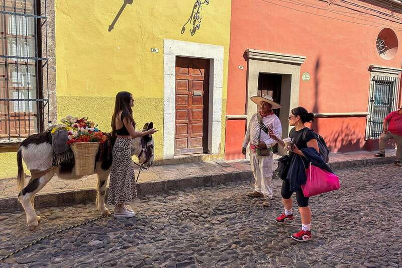 From Mexico City: San Miguel de Allende Day Trip - Why San Miguel makes a strong day trip