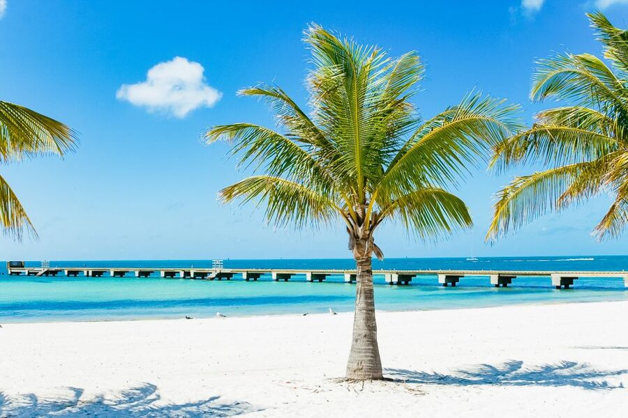 From Miami: Key West Day Trip - Choosing between free time and water activities