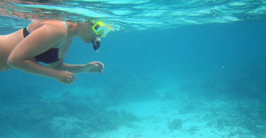 From Miami: Key West Day Trip - Handling the long day without wearing yourself out
