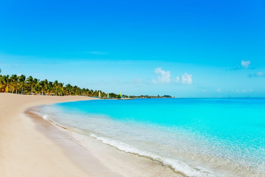 From Miami: Key West Day Trip - FAQ