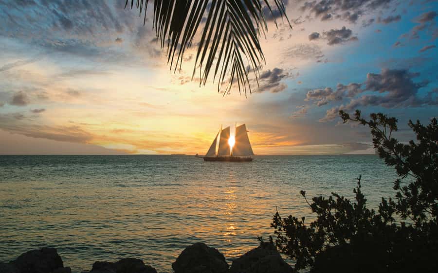 From Miami: Key West Day Trip with Narration - Duval Street, Mallory Square, and the historic seaport