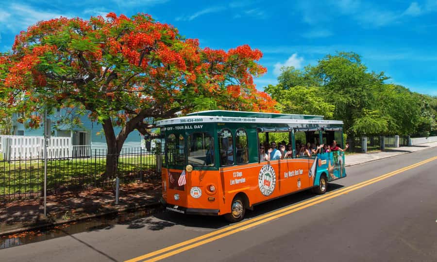 From Miami: Key West Day Trip with Narration - Hemingway House and Key West’s literary side