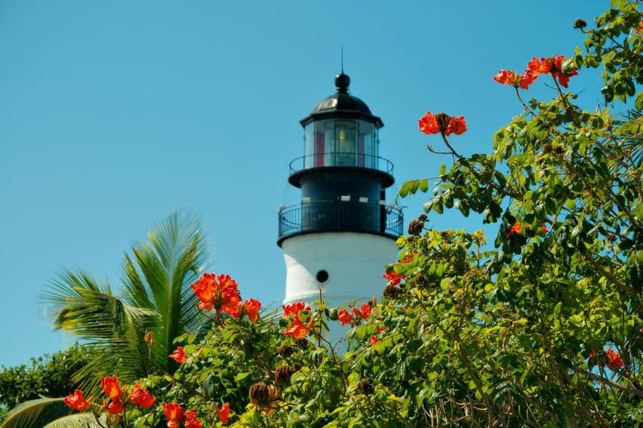 From Miami: Key West Day Trip with Narration - What the $39 price really covers