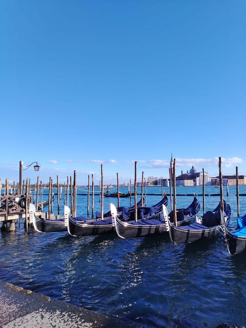 From Milan: Venice City Highlights Guided Day Trip - A 14-hour route from Milan to the Venetian Lagoon