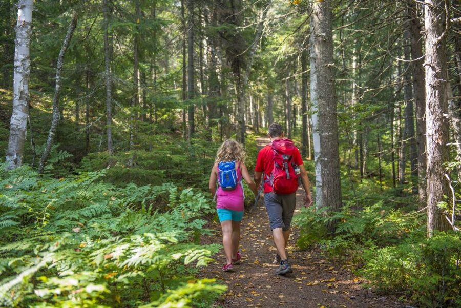 From Montreal: Mont-Tremblant National Park Hiking Day Trip - What the guide adds, even without a guided hike