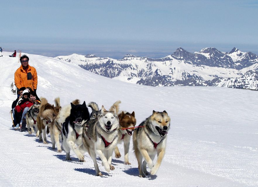 From Montreux: Glacier 3000 Day Trip - Should you book it?