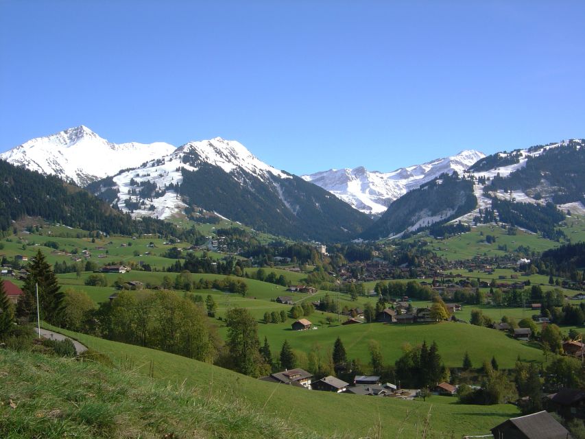 From Montreux: Glacier 3000 Day Trip - The Peak Walk, a short bridge with a huge view