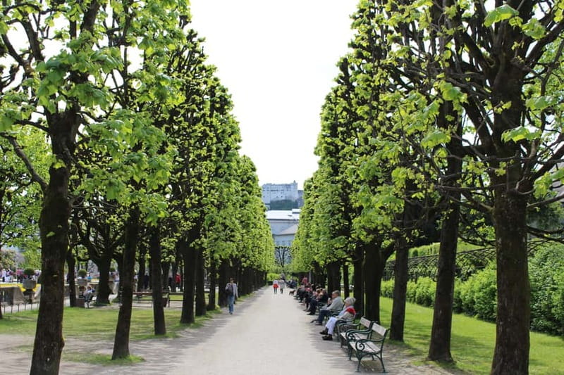 From Munich: Salzburg Day Trip by Train - The Train Ride from Munich to Austria