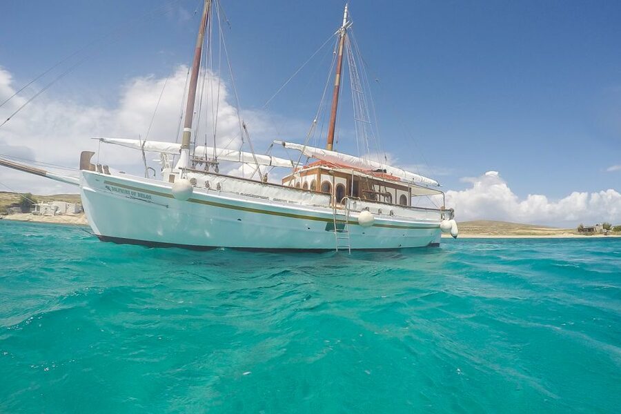 From Mykonos: Delos & Rhenia Islands Half-Day Trip by Boat - Why this Mykonos boat trip is worth your time