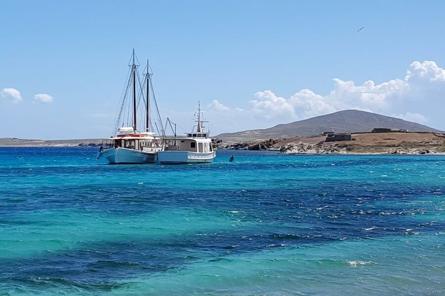 From Mykonos: Delos & Rhenia Islands Half-Day Trip by Boat - BBQ lunch and drinks on deck
