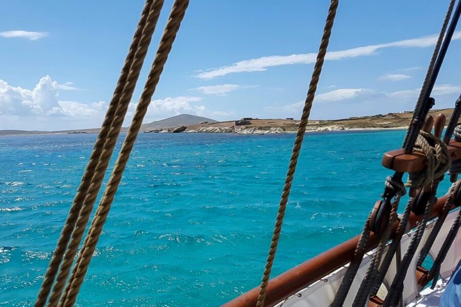 From Mykonos: Delos & Rhenia Islands Half-Day Trip by Boat - Choosing Delos or another swim