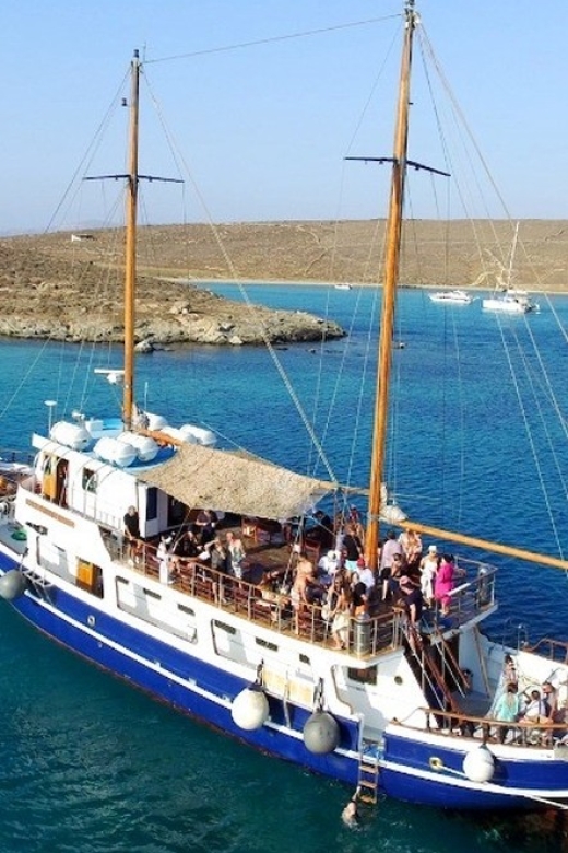 From Mykonos: Delos & Rhenia Islands Half-Day Trip by Boat - Price, timing, and practical value