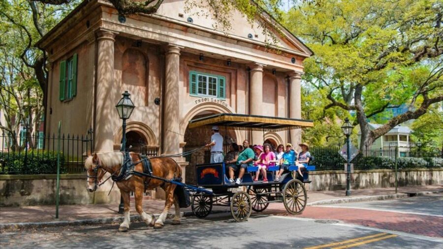 From Myrtle Beach: Charleston Day Trip, Boone Hall & Cruise - Key points to know before booking