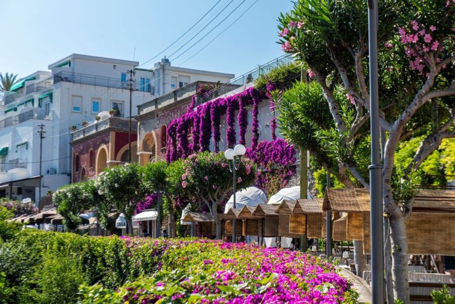 From Naples: Capri, Anacapri, and Blue Grotto Full-Day Trip - Capri town, the Piazzetta, and free time