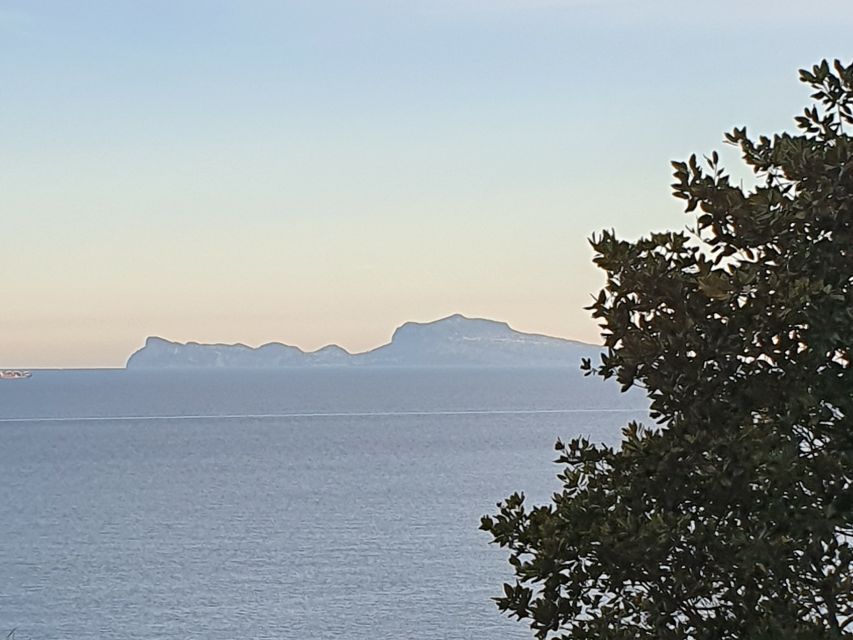 From Naples: Capri Day Trip with Lunch - Capri’s coast is best seen from the water