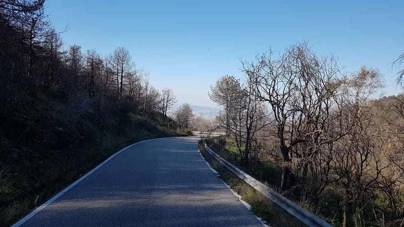 From Naples: Day Trip to Mount Vesuvius - The return to Naples