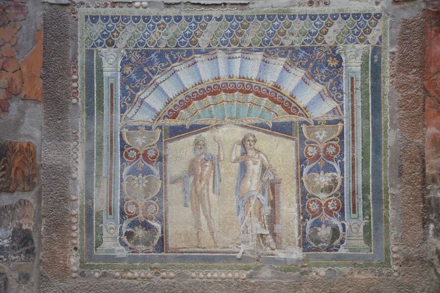 From Naples: Herculaneum, Mount Vesuvius & Pompeii Day Trip - What the host and driver add