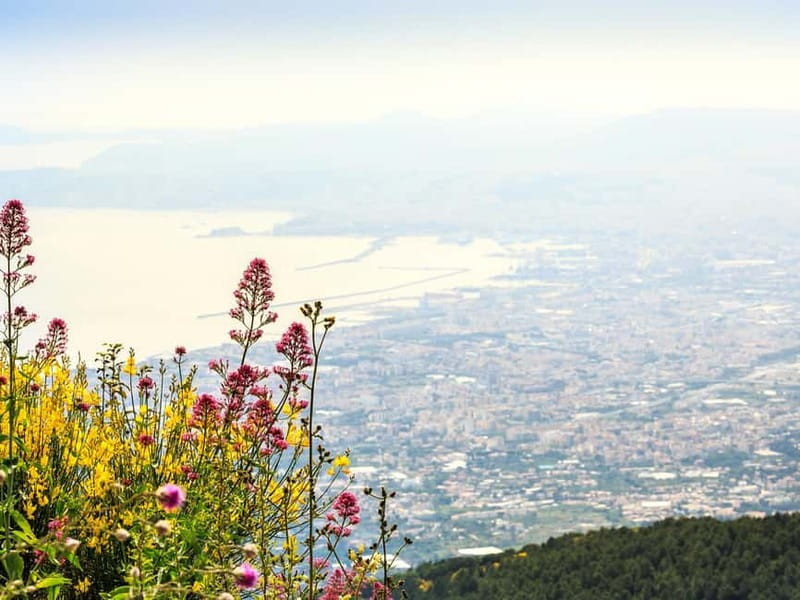 From Naples Port: Pompeii and Mt. Vesuvius Day Trip - Meeting outside Hotel Romeo