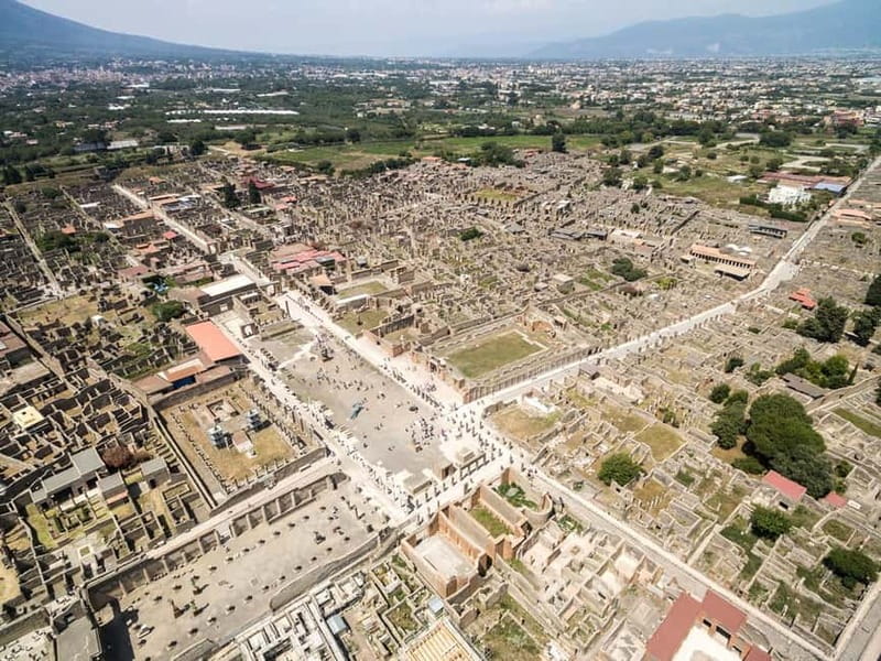 From Naples Port: Pompeii and Mt. Vesuvius Day Trip - The return to Naples Port