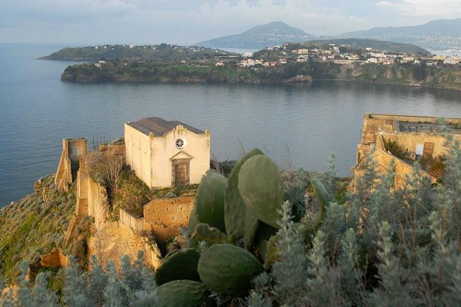 From Naples: Procida Island Day Trip with Lunch - Meeting at Molo Beverello at 8:00 am
