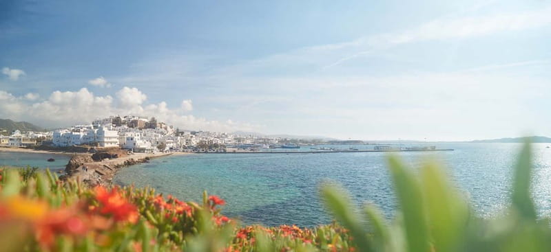 From Naxos: Delos and Mykonos Full-Day Trip - Three hours among the ruins of Delos