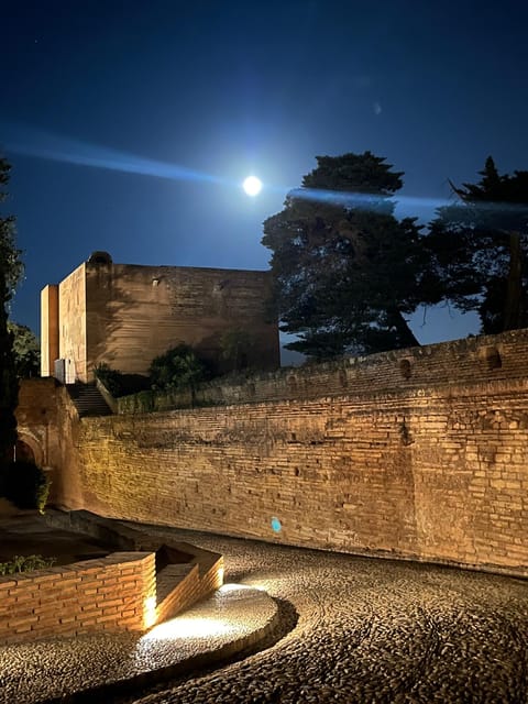 From Nerja/Almunecar: Granada Full-Day Trip - Who will enjoy this experience most?