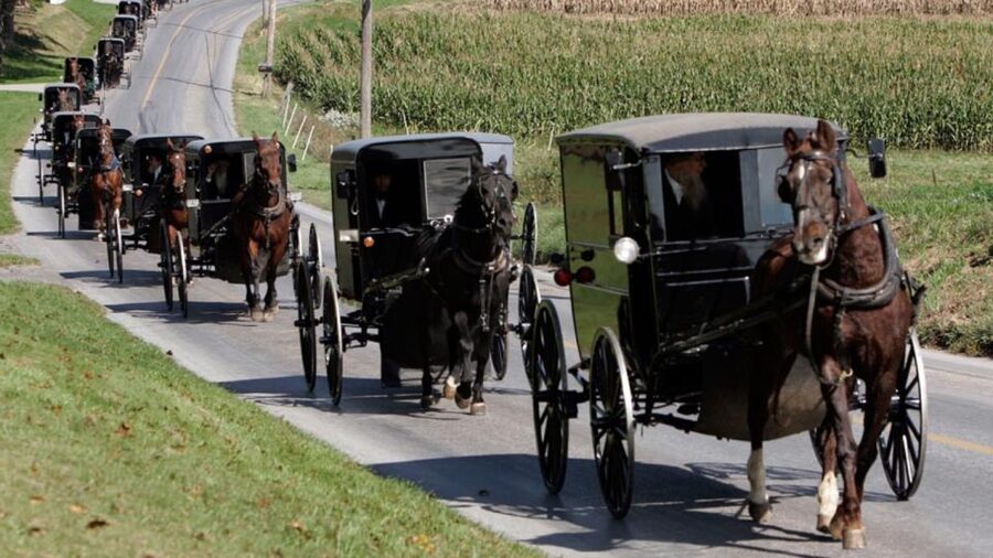 From New York City: Philadelphia & Amish Community Day Trip - Key points to know before booking