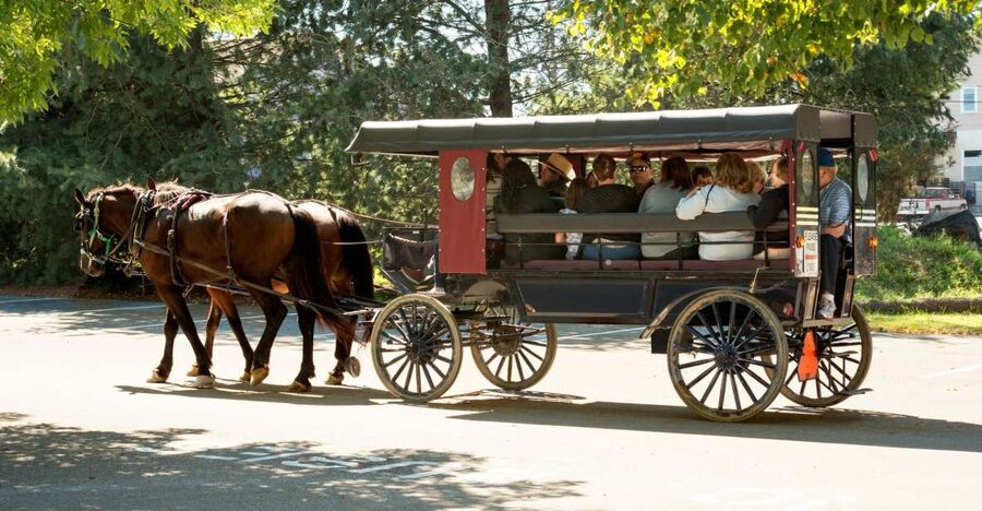 From NYC: Day Trip to Philadelphia and Amish Country - Philadelphia’s founding story in a short visit
