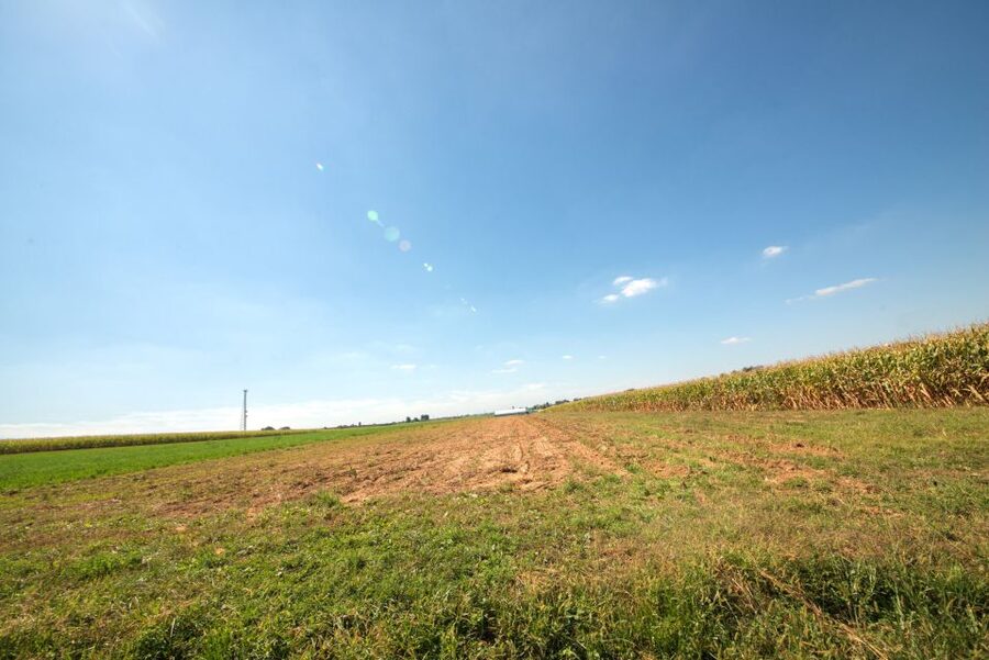 From NYC: Day Trip to Philadelphia and Amish Country - Guides make a real difference