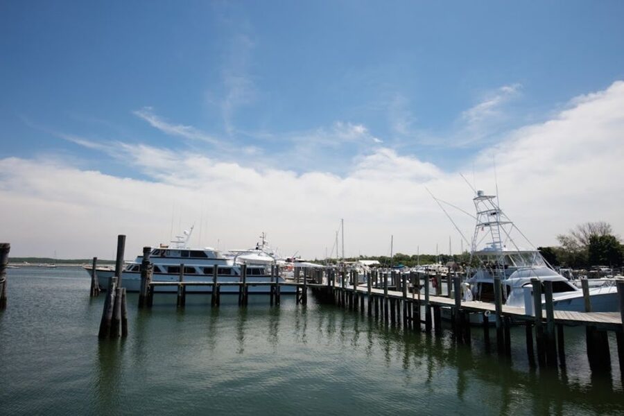 From NYC: Hamptons, Sag Harbor, and Outlet Shopping Day Trip - The winery stop adds a welcome change of pace