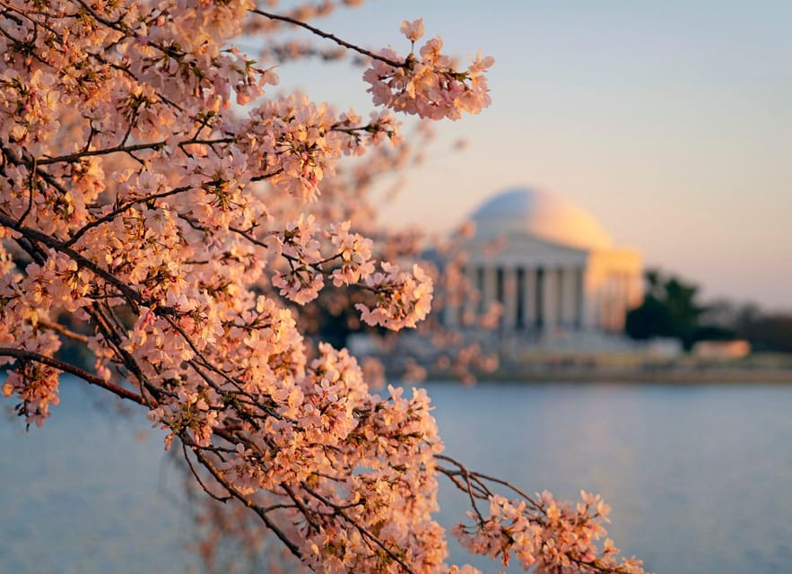 From NYC: Niagara Falls, Washington DC and Boston 4-Day Trip - Hotels, transport, and the pace you should expect