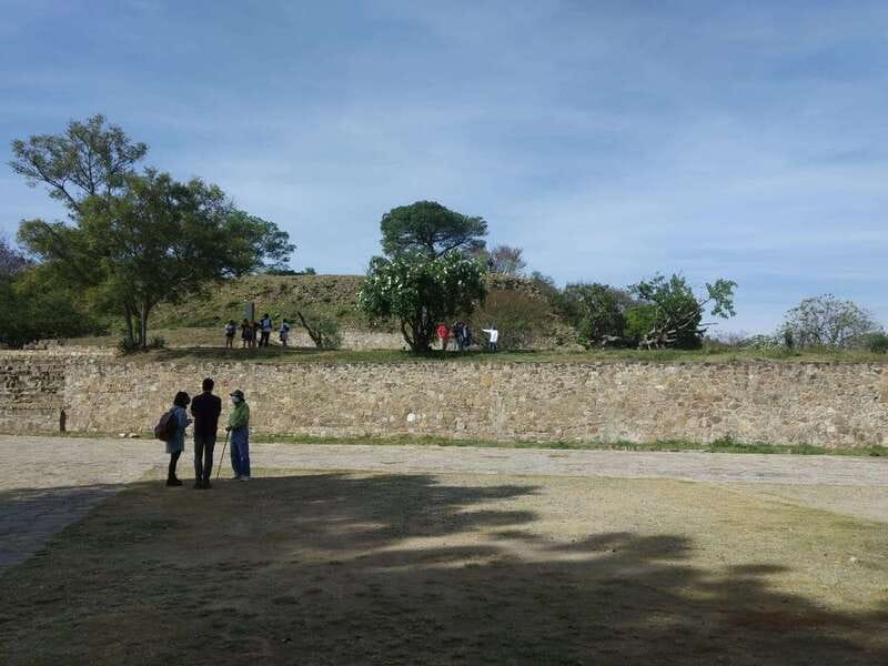From Oaxaca: Monte Alban, Alebrijes & Black Clay Day Trip - Transport, pickup, and the real length of the day