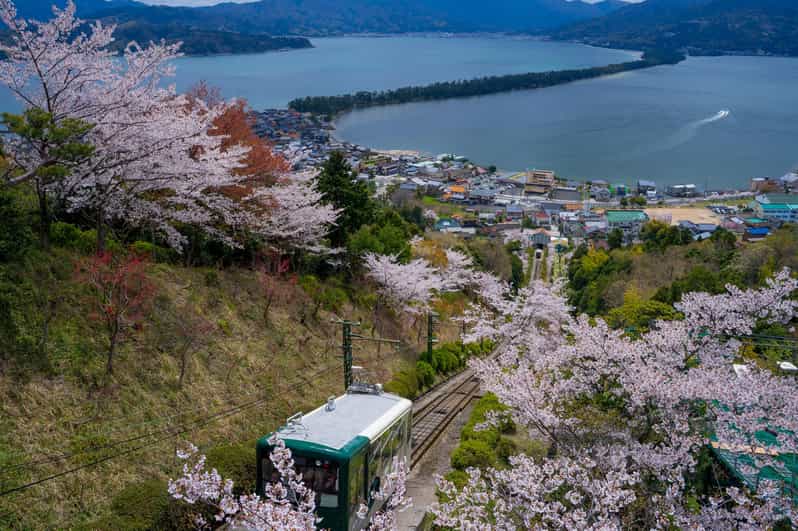 From Osaka: Amanohashidate and Ine Bay Day Trip - Key points to know before booking