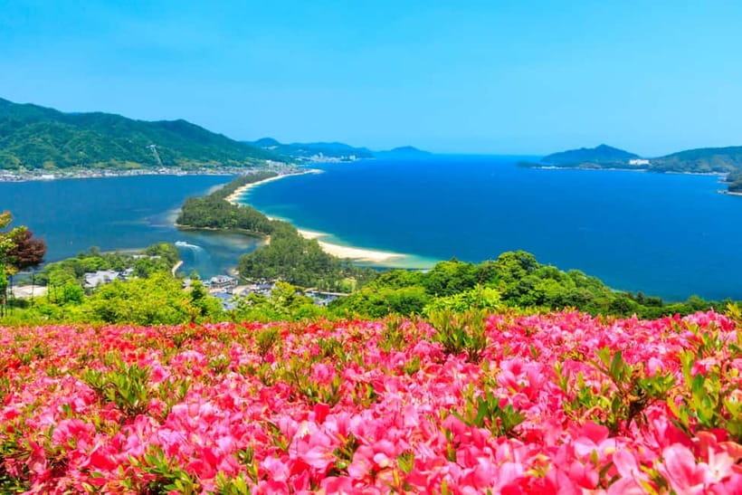 From Osaka: Amanohashidate and Ine Bay Day Trip - Who should book this day trip?