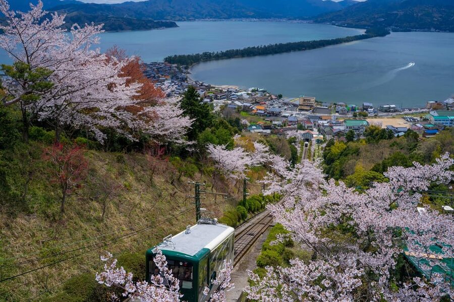 From Osaka: Amanohashidate and Ine Bay Day Trip - Seagulls, black kites, and the fun side of the cruise