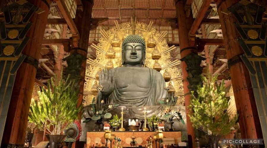 From Osaka/Kyoto: Private Kyoto & Nara Day Trip with Pickup - Fushimi Inari’s red torii gates
